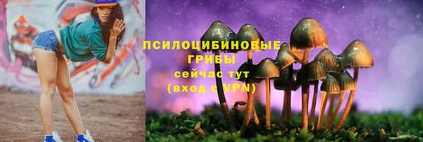 гашик Инсар