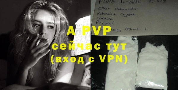 гашик Инсар