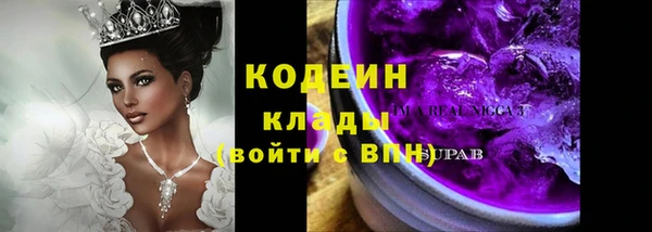 гашик Инсар