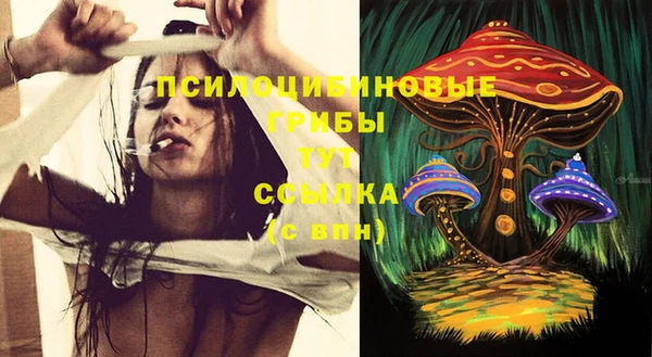 гашик Инсар
