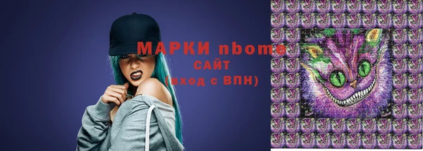 гашик Инсар