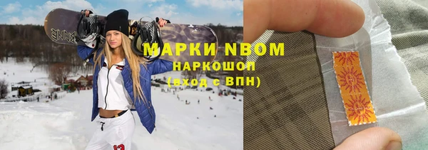 гашик Инсар