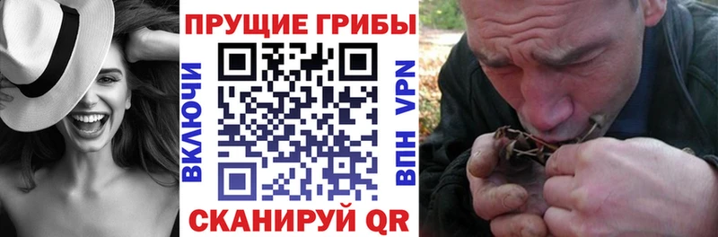 Купить  Белый  Псилоцибиновые грибы ЛСД 